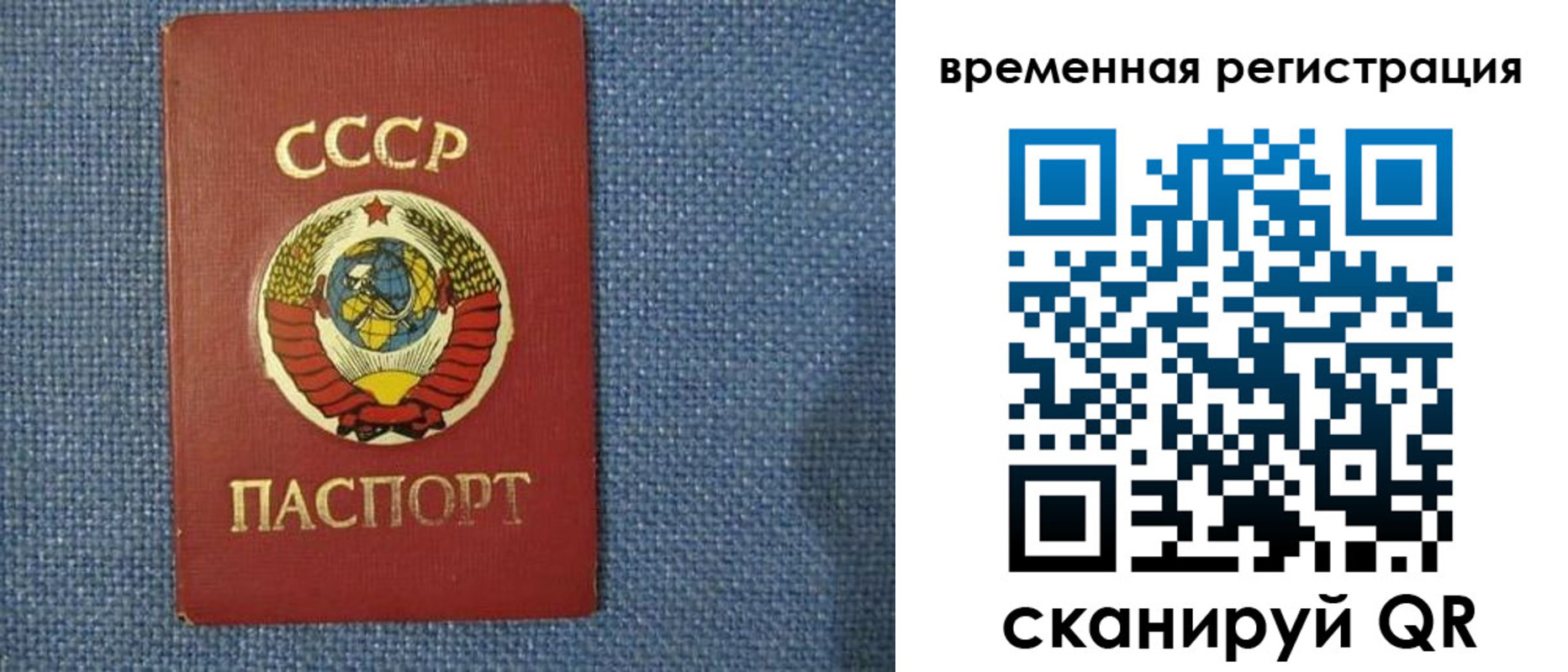 временная регистрация недорого в Камышлове